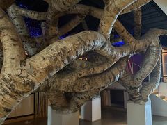 -水之梦(黄浦店)