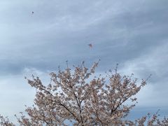 -苏州上方山国家森林公园