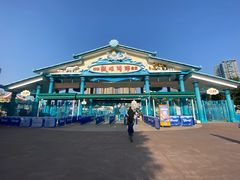 -海合安成都极地海洋公园