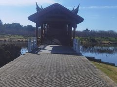 -上海海湾国家森林公园