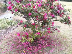 -苏州河梦清园环保主题公园