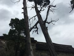 -江南第一家
