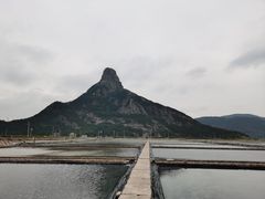 -花岙岛