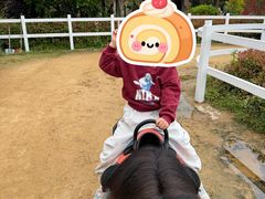 -杭州野生动物世界