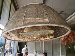 -生如夏花泰式火锅(西村黑金店)