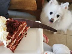 -派悦坊·甜品·蛋糕(日坛店)