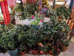 -咕嘟草帽鱼·牛奶一样的鲜鱼汤(包河万达广场创始店)