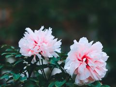 -江南大学(蠡湖校区)
