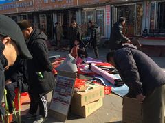 -中环花鸟鱼虫市场