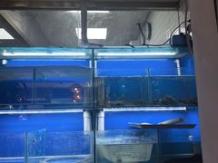 -阿鸡鱼庄·顺德鲜蒸小炒(亚运村店)