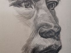 -信马画室 成人零基础到个人创作画室(亚运村店)