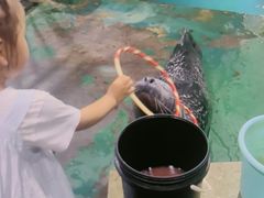 -嘉兴海底世界