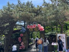 -庐山风景区花径公园