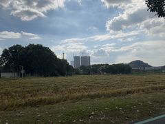 -光明小镇欢乐田园