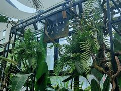-北马山庄植趣咖啡