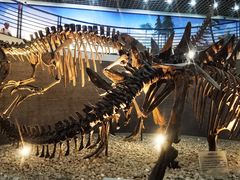 -国家自然博物馆