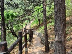 -北京十三陵国家森林公园蟒山景区