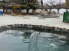-稻香湖景欢乐岛温泉城堡