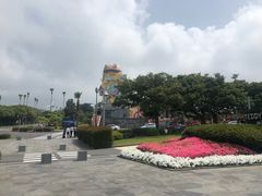 -济州岛泰迪熊博物馆