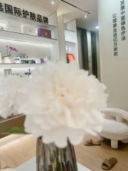 -阅年轻·AI家庭健康体质调理