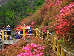 -木兰云雾山