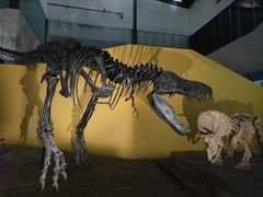 -湖南省地质博物馆