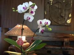 -心足私家足疗SPA(深圳湾店)