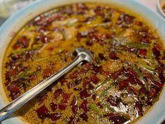 -尽膳·鱼鲜川菜(宽窄巷子店)