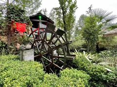 -青城甲(青城山店)