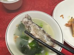 -蛇口康乐快餐鱼仔档(翠苑小区店)