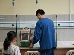 -爱派特动物医院·全科诊疗中心