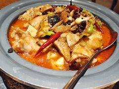 -云海肴·汽锅鸡·云南菜(高德置地店)