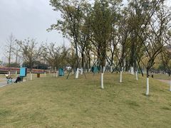 -府河摄影公园