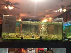 大堂-真浪大家乐海鲜餐馆