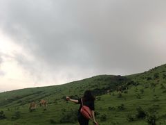-大姆山草场