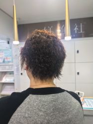 -镁连社·美联社