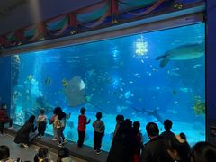 -石家庄海洋公园