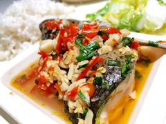 -浙大城市学院第二食堂