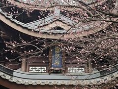 -北高峰