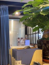 -小熊维尼高端孕婴摄影(清湖金銮店)