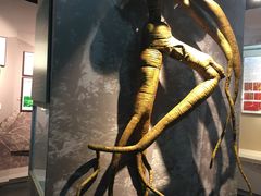 -广东中医药博物馆