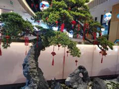 -马家斑.鲜鱼火锅(松湖万科店)