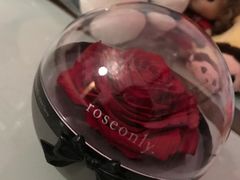 -ROSEONLY诺誓(青岛万象城店)