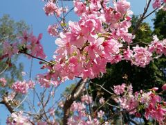 -桃花涧