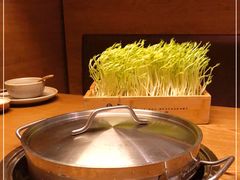 -大头椰·椰子鸡火锅(新梦店)