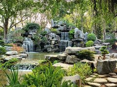 -东莞植物园