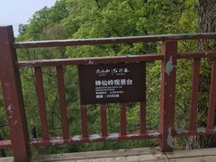 -陕西省红河谷森林公园