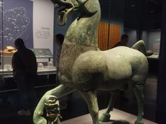 -广西壮族自治区博物馆