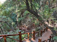 -大岭沟猕猴桃谷风景区