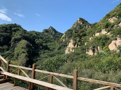 -大岭沟猕猴桃谷风景区